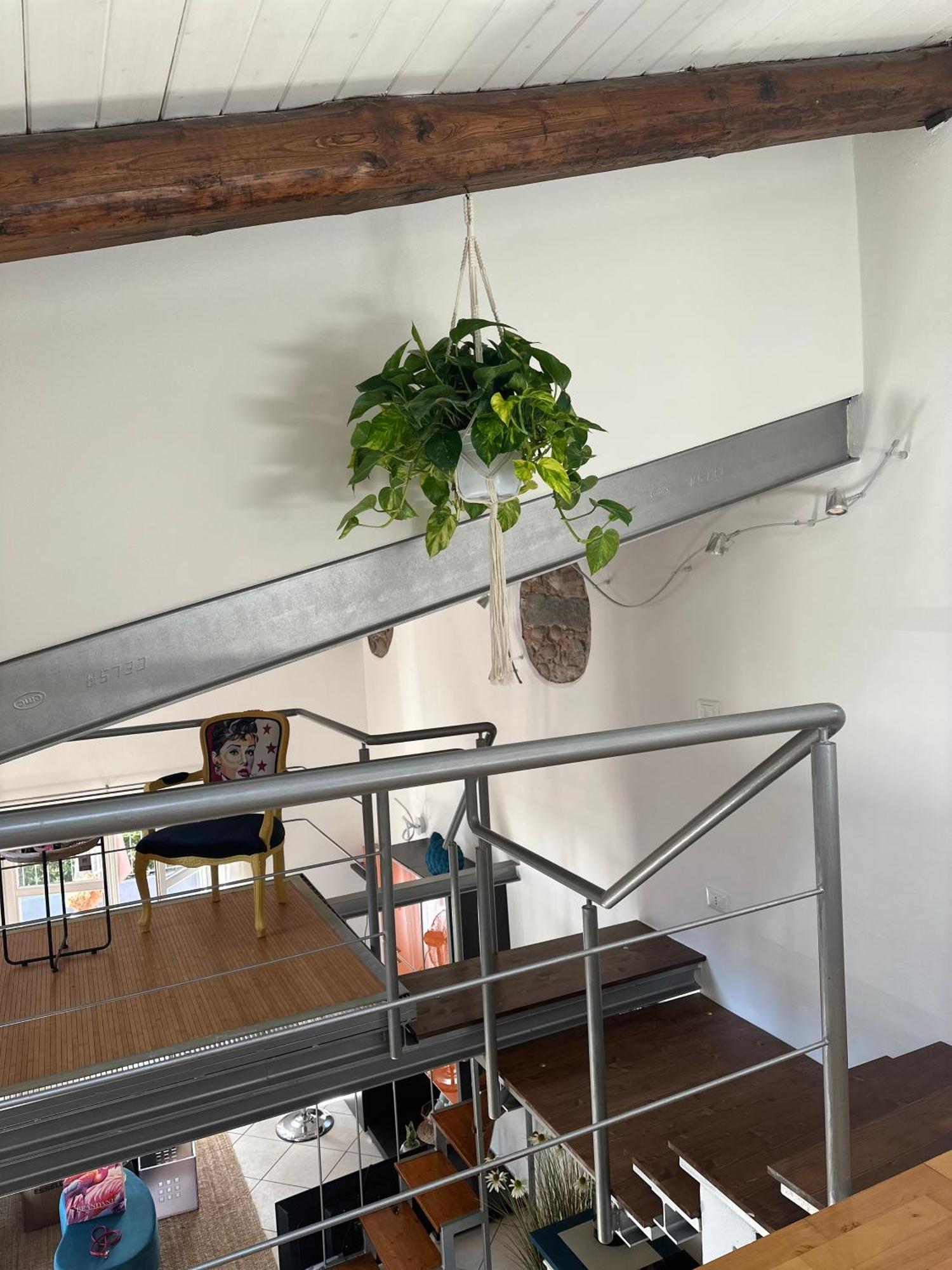 La Casetta Del Centro Luminoso Loft Con Terrazzo E Giardino Biella